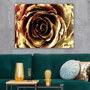 Wallity Lienzo decorativo Multicolor 70 x 100 cm